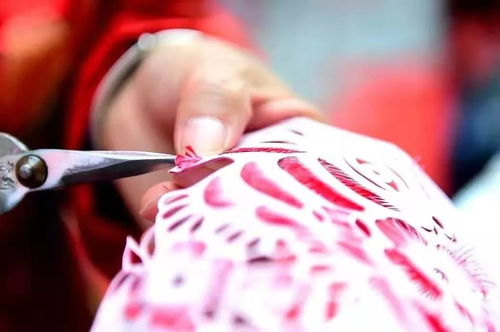 寶雞岐山轉(zhuǎn)鼓將代表家鄉(xiāng)爭(zhēng)奪 陜西省民間文化藝術(shù)之鄉(xiāng) 稱號(hào)