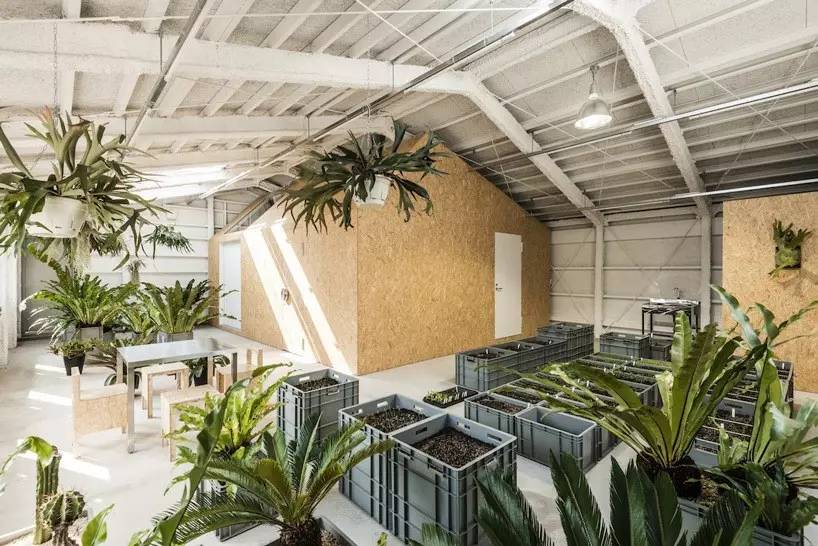 工廠(chǎng)改造為藝術(shù)家工作室_文化_網(wǎng)