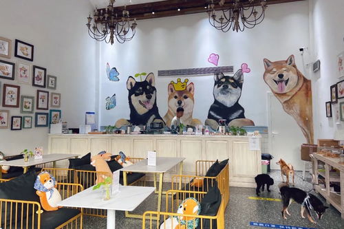 身邊的美學(xué)空間 蘇州這幾處公共文化體驗(yàn)空間，文藝小資且充滿(mǎn)藝術(shù)靈感